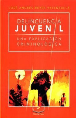 Libro Delicuencia Juvenil Una Explicacion Criminolo Original