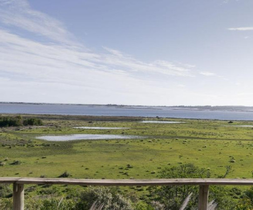 Imagen 27 de 30 de Gaia, Chacra Sobre Laguna José Ignacio