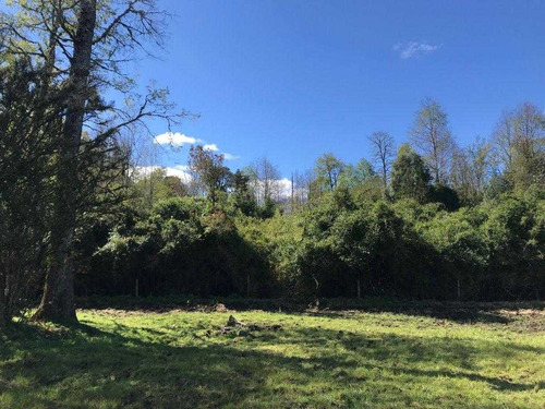 Rupanco 5.000 M2 // Exclusivo Proyecto (99135)