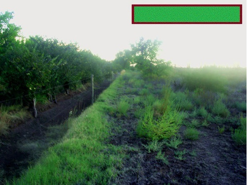 Imagen 9 de 11 de Finca 6,6ha Turistica Y Productiva Con Casa Sobre Ruta Nacional 188 Camino A Las Leñas Dueño Vende Permuta Chacra Buena Tierra Con Riego