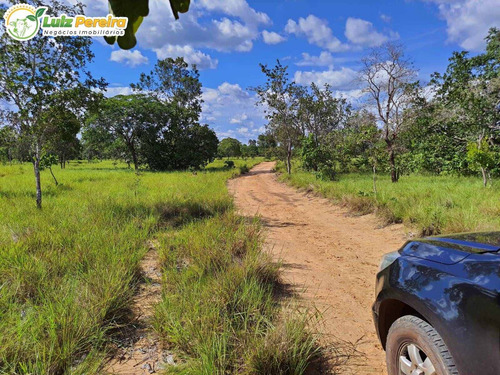 Imagem 7 de 10 de Fazenda À Venda Em Colinas - To - 498,53 Hectares (dupla Aptidão) - 2137