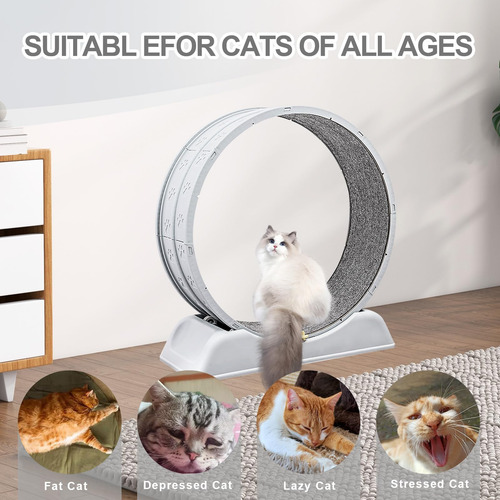 Esteira Cat Wheel Exerciser Lalakats Cat Para Gatos Doméstic
