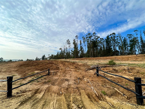 Proyecto Terrenos De 5.000 M2 En Venta - Matanzas