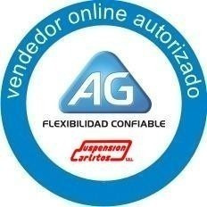 Imagen 5 de 6 de Kit 2 Espirales Progresivos Traseros Ag Fiat Tipo 1.6