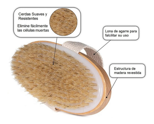 Cepillo Exfoliante Para Cuerpo