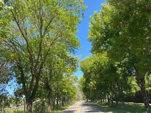 Imagen 14 de 18 de Terreno En Venta - El Remanso - Exaltación De La Cruz - 1900 M2