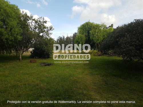 Imagen 7 de 11 de Oportunidad - Chacra Completa - Campo Minas