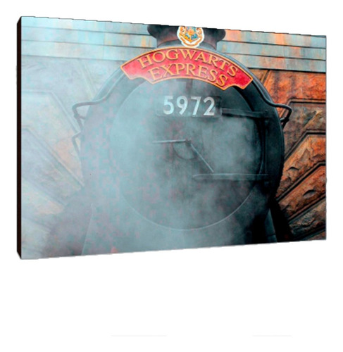 Cuadros Poster Harry Potter Tren Hogwarts S 15x20 (dhg (5))