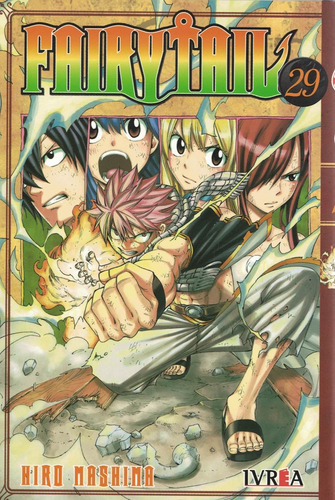 Fairy Tail Vol 29