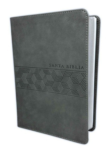 Santa Biblia Ntv, Edición Manual, Letra Gigante (gris)