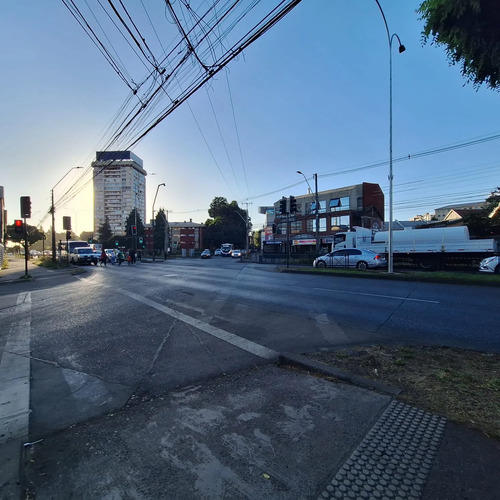 Arriendo Local Comercial Con Patente Varios