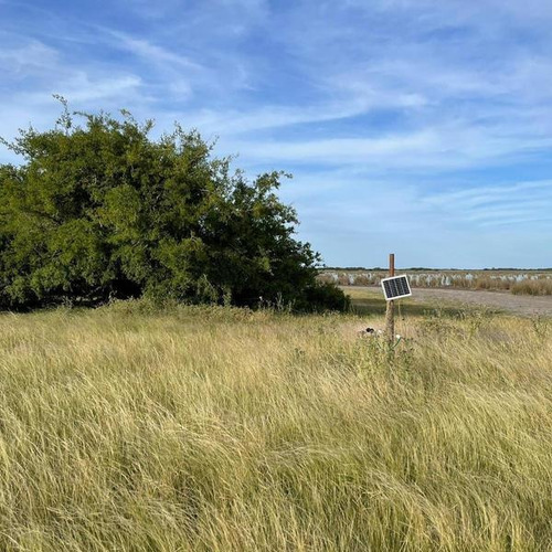 Imagen 8 de 14 de Campo Zona Laguna Los Horcones
