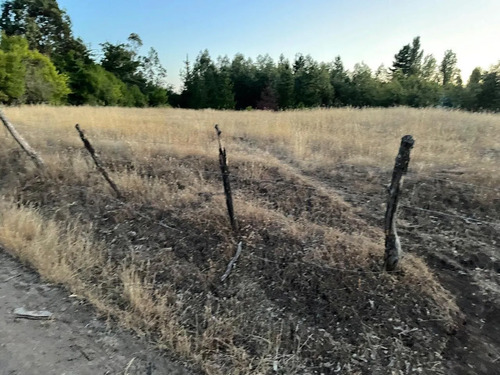 Invierte En Tierras: 3 Parcelas Bajo Valor De Mercado 2,22 H
