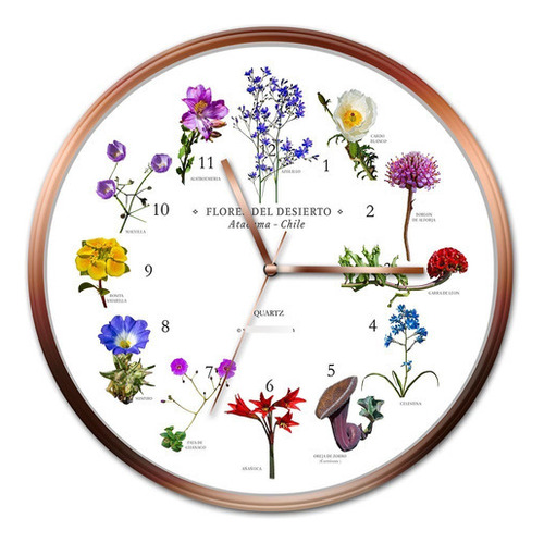 Reloj Pared Flores Desierto Atacama