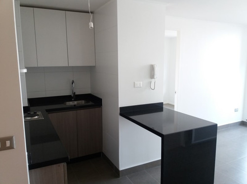 Arriendo Depto. 1 Dormitorio En El Centro De Concepción