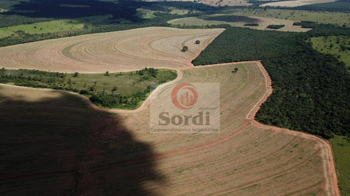 Imagem 18 de 20 de Fazenda À Venda, 4400000 M² Por R$ 22.000.000,00 - Zona Rural - Prata/mg - Fa0109