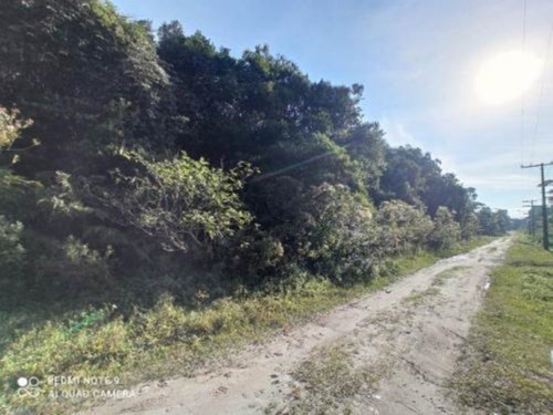 Imagem 8 de 10 de Lotes De Chácara No Bairro São Fernando, Em Itanhaém, Com 2.400 M² De Área Total, Aceita Entrada Mais Parcelas