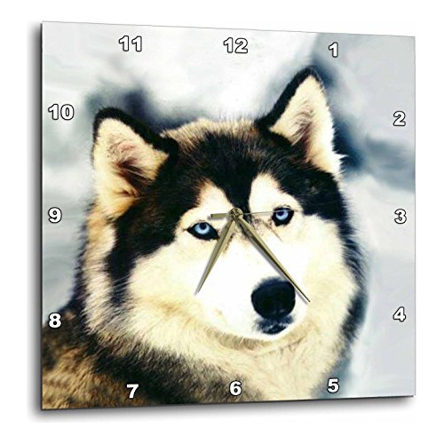 Dpp 517 3 Staring Reloj De Pared Husky Siberiano 15 Pul...