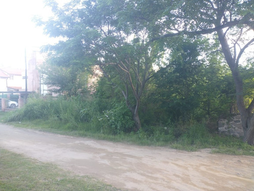 Imagen 5 de 6 de Lote Con Bajada Al Rio