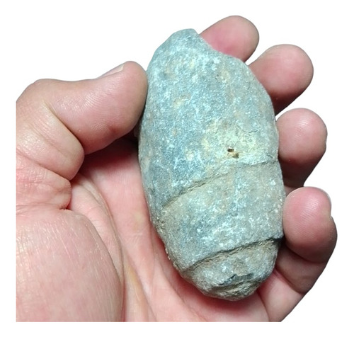  Amonites Fósiles Naturales Coleccion  Esp000583