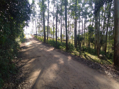 Imagem 7 de 12 de Terreno Rural 10 Hectares Entre Grão Pará E Braço Do Norte