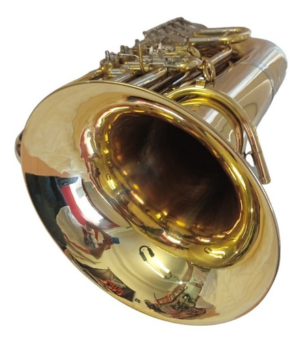 Imagen 4 de 6 de Tuba Denner Mouthpiece Generica Bb