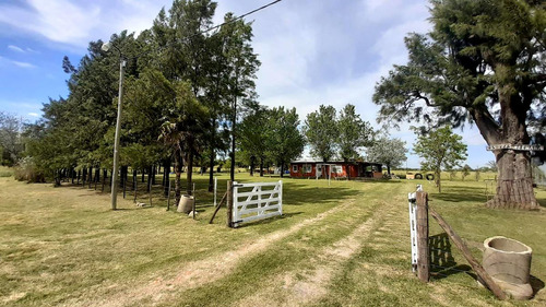 Casa Quinta A La Venta En Cañuelas Sobre Un Lote De 2.200 M2