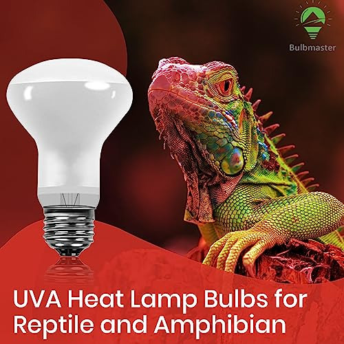 Focos Para Reptiles Luz Uv De 50 Watts Para Reptiles Y Anfib