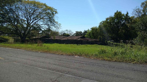 Vendo Rancho Ganadero 223 Hectáreas Temapache Veracruz