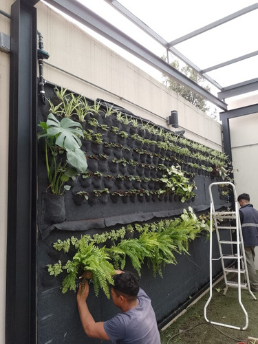 Paisajismo Jardinería Sistemas De Riego Parquizacion Podas