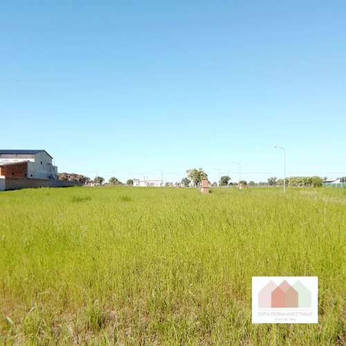 Imagen 5 de 6 de Lote En Venta En La Martina