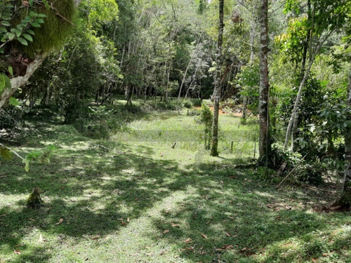 Imagem 29 de 30 de Sítio À Venda Em Juquitiba; - 288 - 69390789