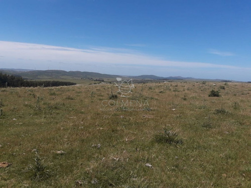 Imagen 15 de 16 de Campo En Carape - Departamento De Maldonado - Carape