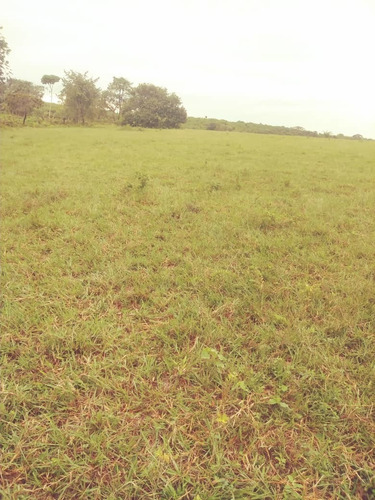 Imagen 9 de 15 de Finca En El Paguey, Barinas En Venta