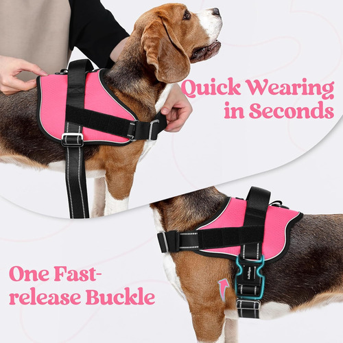 Arnés Para Perro Rabbitgoo Grande, Ajustable, No Tira, Xl