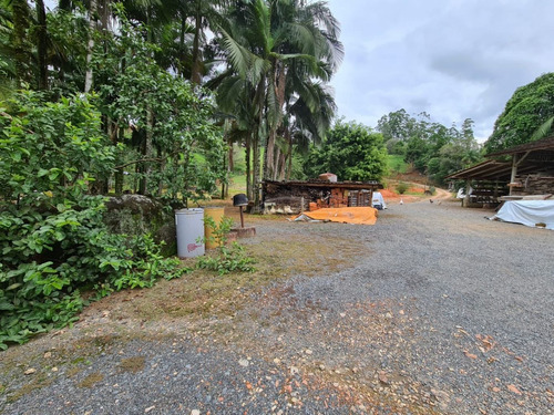 Imagem 3 de 13 de Belíssimo Sítio Localizado Em Pomerode, Bairro Ribeirão Souto, Com Área De 49.000 Metros Quadrados, Nascente De Água Dentro Do Terreno, Casa De Madeira, Galpão, Rancho Para Gado, Totalmente Cercad