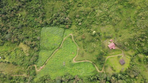 Se Vende Finca De 31 Hectáreas En Zona Alta De Pradera Valle Colombia