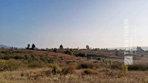 Se Vende Parcela(5.000m2) Campomar 7, Valle Alegre