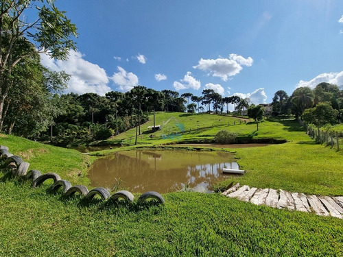 Imagem 14 de 30 de Linda Chacará Com Mais De 36.000 M², Situada Na Cidade De Quitandinha, Paraná. - Ch00019 - 70570203