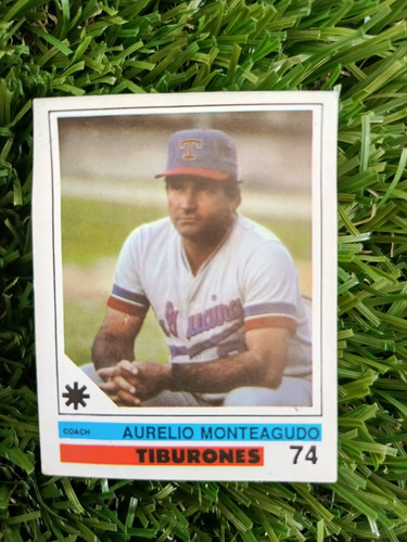 1991 Béisbol Profesional Venezolano Aurelio Monteagudo #74