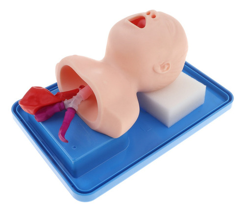 Práctica Cánula De Tubo Modelo Para Bebés Recién Nacidos