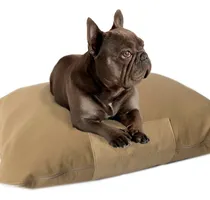 Comprar Camas Colchones Moises Perros Gatos Diseño Comodidad Calidad