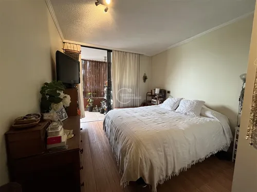 Estupendo Y Acogedor Dpto 1 Dormitorio Con Terraza