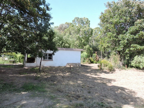 Imagen 3 de 8 de Chacra En Venta En La Zona De Mas Desarrollo De San Pedro