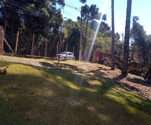 Imagem 9 de 13 de Terreno No Alto Da Boa Vista Próximo Ao Museu Felícia Lenner - 1