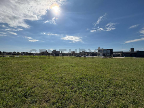 Venta Lote En Don Mateo - Cimarrón Entre Fuerza Aérea Y Rodriguez