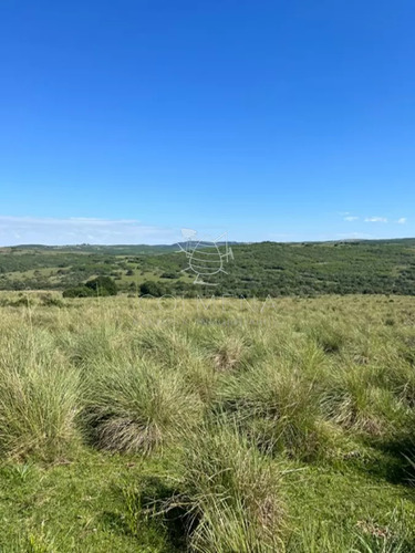 Campo En Paso De La Cantera
