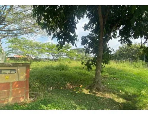 Lote En La Morada Jamundi