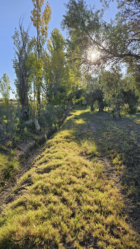 Gran Terreno O Lote De 2 Has En San Rafael Ideal Emprendimie