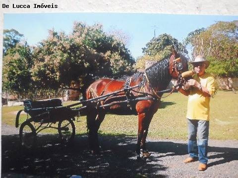 Imagem 15 de 16 de Chácara À Venda Em Centro - Ch016899
